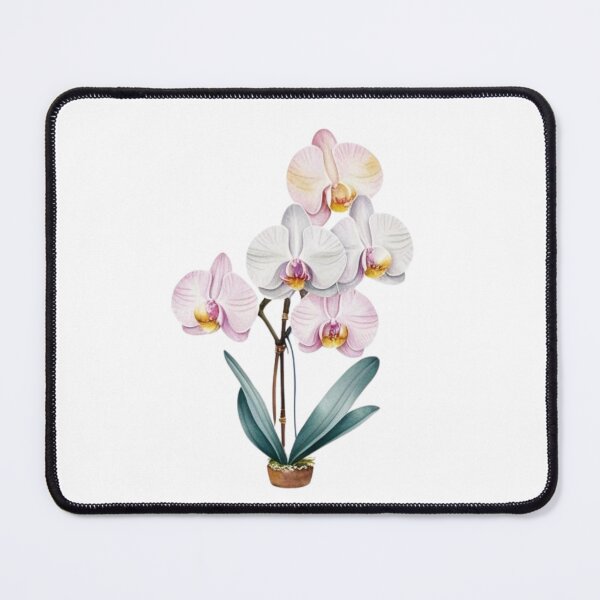 Item preview, "Dreamy Watercolor Orchid – Soft & Elegant Floral " designed and sold by STmez Design.