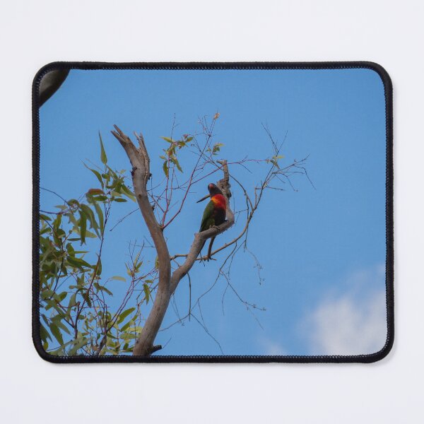 Item preview, Rainbow Lorikeet In Tree designed and sold by roooft.