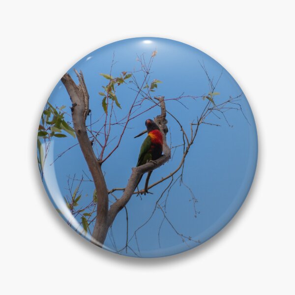 Item preview, Rainbow Lorikeet In Tree designed and sold by roooft.