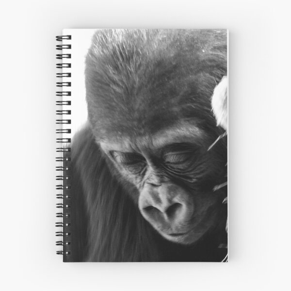Artikelvorschau, Baby-Affe - Gorilla tief in Gedanken bei Chessington Zoo UK entworfen und verkauft von celticfae01.