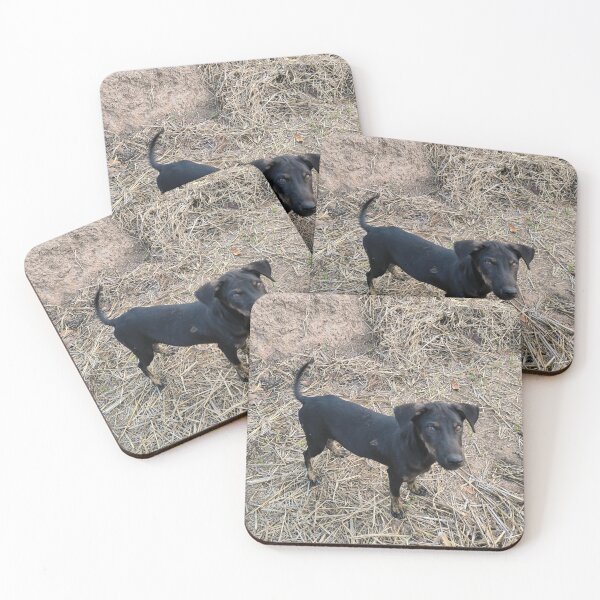 Item preview, Black puppy in the countryside designed and sold by Beeza Art Shop.