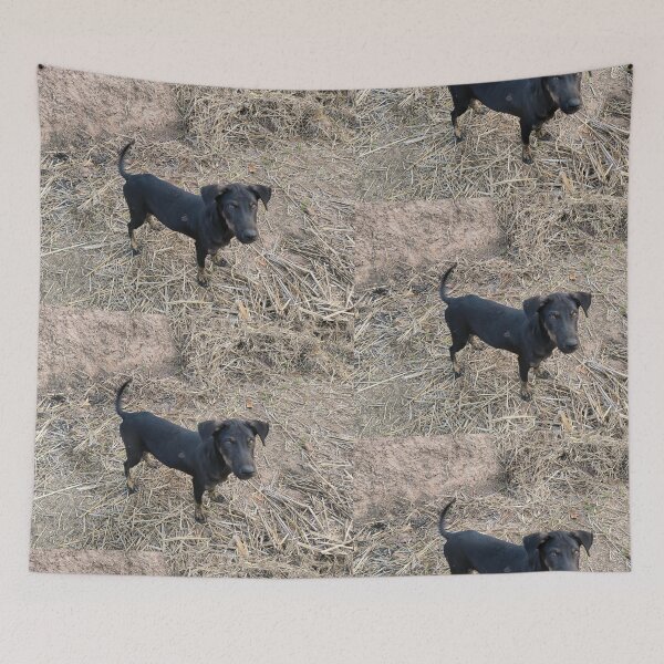 Item preview, Black puppy in the countryside designed and sold by Beeza Art Shop.