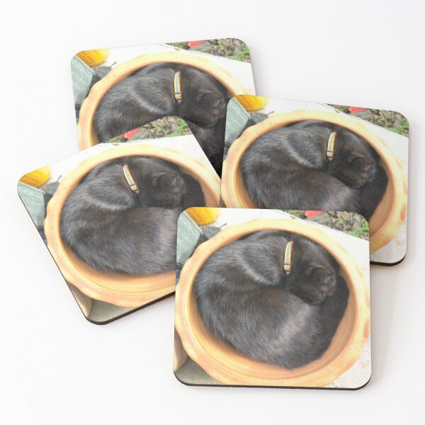 Item preview, A black cat is curled up in a clay pot. designed and sold by Beeza Art Shop.
