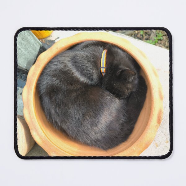Item preview, A black cat is curled up in a clay pot. designed and sold by Beeza Art Shop.