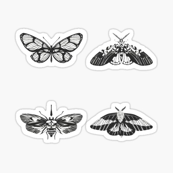 Aperçu de l'œuvre Papillons volants créée et vendue par FoxinhoSoumaila.