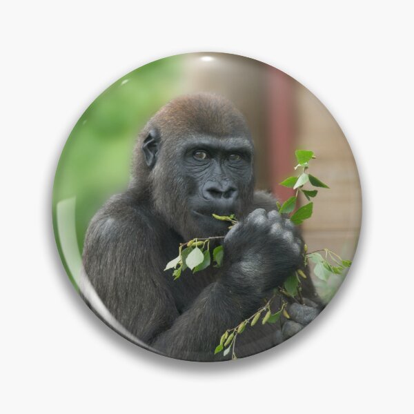 Item preview, Cheeky Gorilla Lope designed and sold by rawshutterbug.