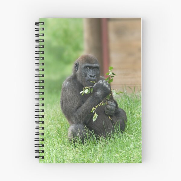 Item preview, Cheeky Gorilla Lope designed and sold by rawshutterbug.