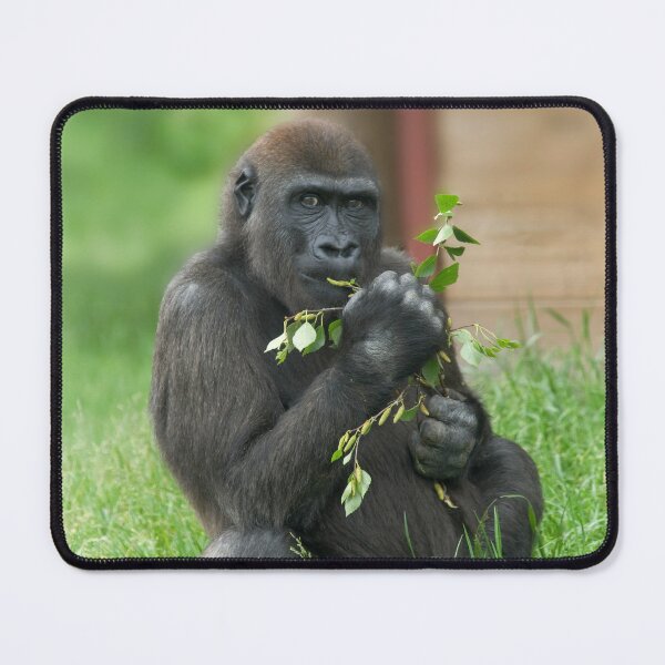 Item preview, Cheeky Gorilla Lope designed and sold by rawshutterbug.