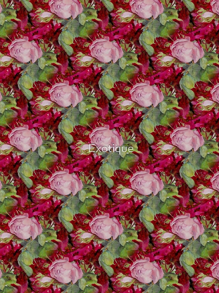 Old roses by Exotique
