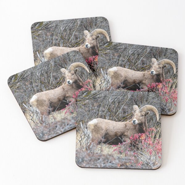 Item preview, Autumn Ram designed and sold by DawsonImages.