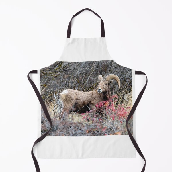 Item preview, Autumn Ram designed and sold by DawsonImages.