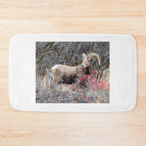 Item preview, Autumn Ram designed and sold by DawsonImages.