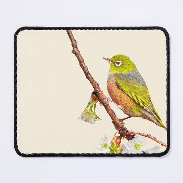 Item preview, Silvereye on Cherry Blossom designed and sold by MRageebArt.