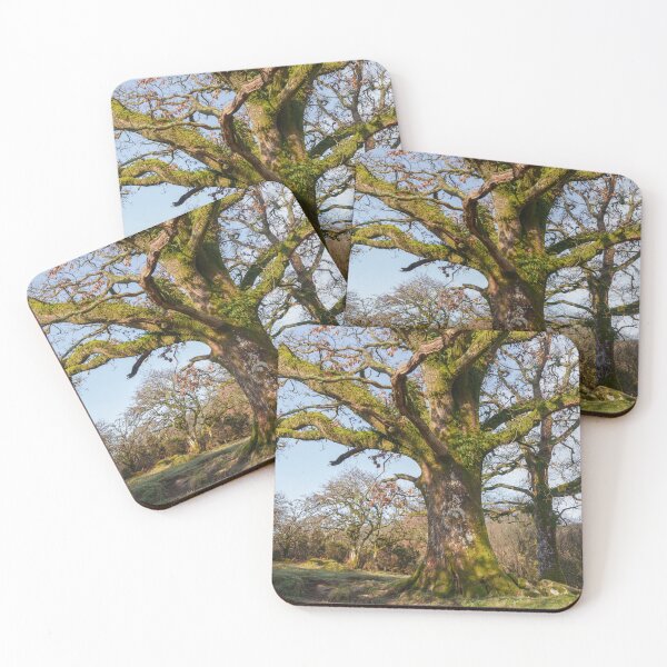 Item preview, Sunlit Forest Path Leading to an Ancient Tree designed and sold by rawshutterbug.