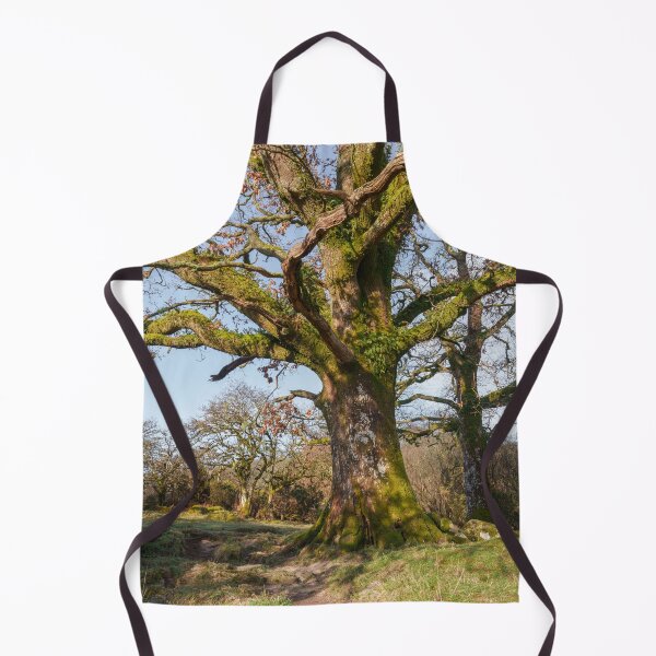 Item preview, Sunlit Forest Path Leading to an Ancient Tree designed and sold by rawshutterbug.