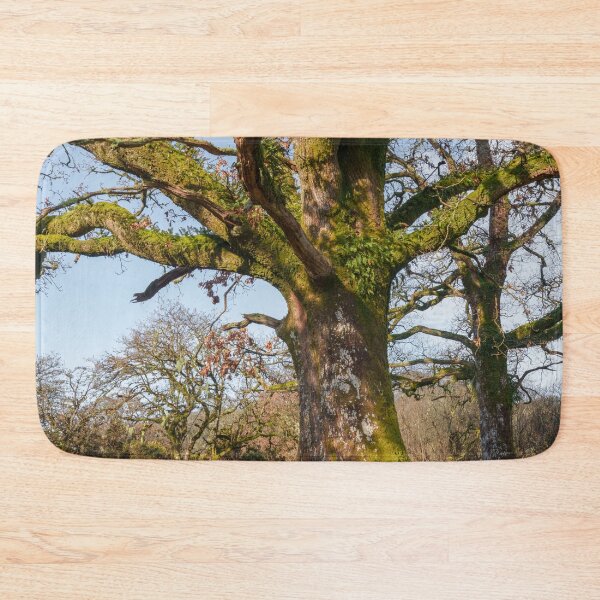 Item preview, Sunlit Forest Path Leading to an Ancient Tree designed and sold by rawshutterbug.