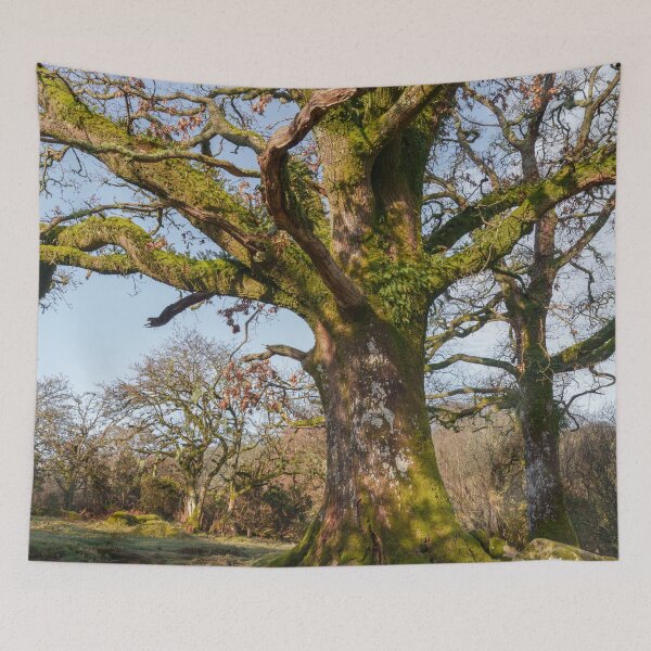 Item preview, Sunlit Forest Path Leading to an Ancient Tree designed and sold by rawshutterbug.