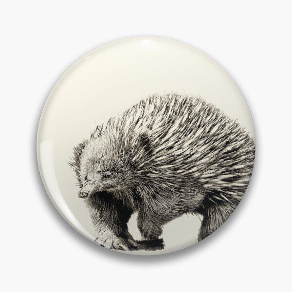 Item preview, Echidna Illustration – Vintage Ink Sketch Style designed and sold by MRageebArt.