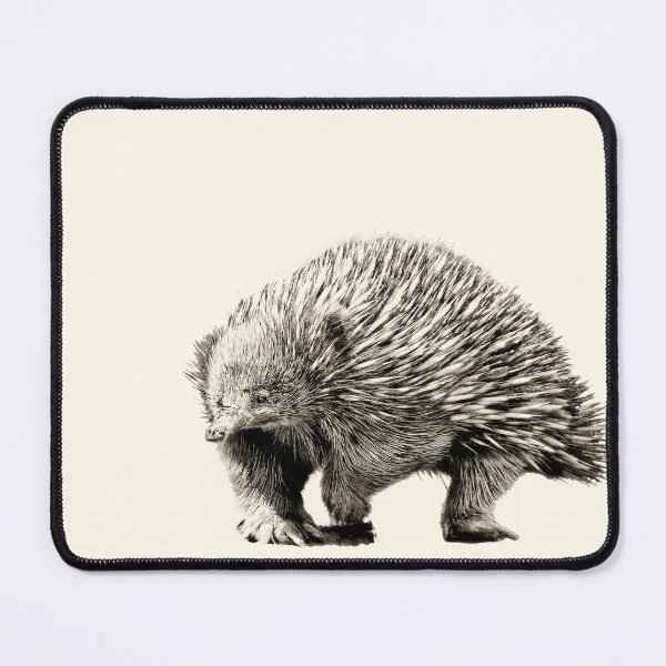 Item preview, Echidna Illustration – Vintage Ink Sketch Style designed and sold by MRageebArt.
