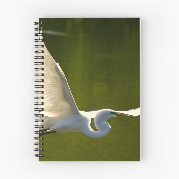 Item preview, Flying Great White Egret   designed and sold by MercerImages.