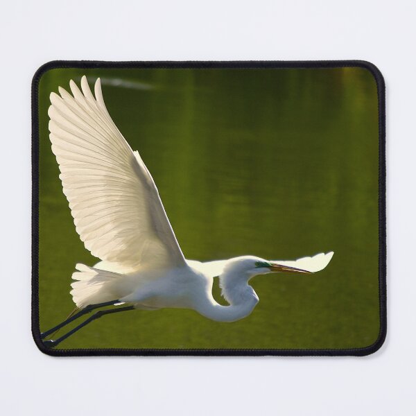 Item preview, Flying Great White Egret designed and sold by MercerImages.