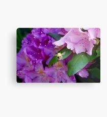 ...one more flower, just one more flower.... Metal Print