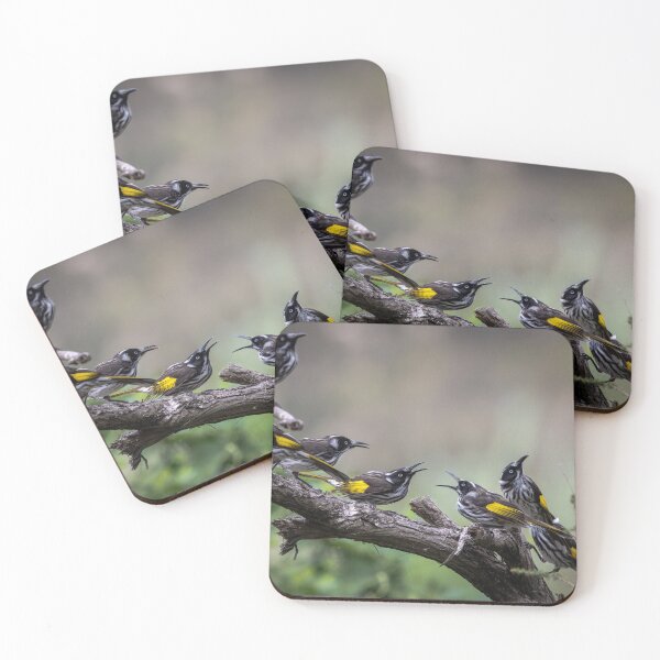Item preview, New Holland honey eater gang designed and sold by Mslphotography.