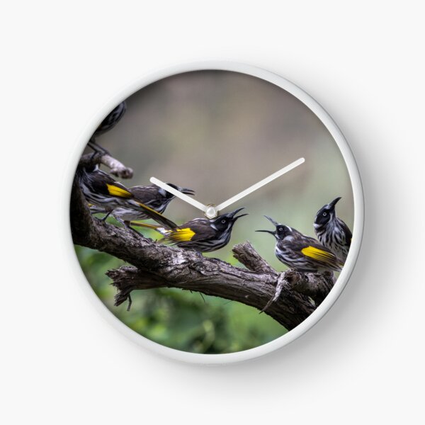Item preview, New Holland honey eater gang designed and sold by Mslphotography.