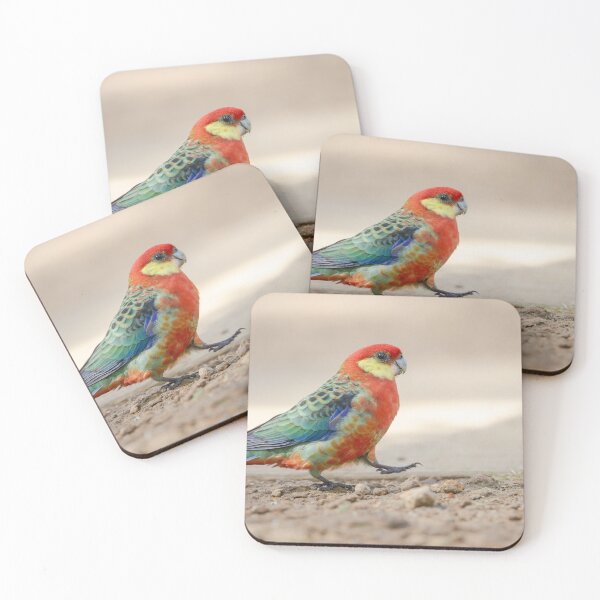 Item preview, Western rosella walk designed and sold by Mslphotography.