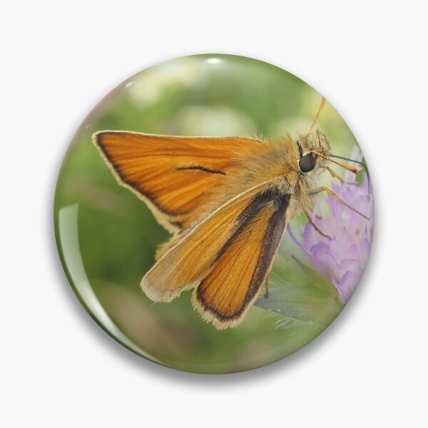 Item preview, Skipper butterfly on scabious designed and sold by MinJasmin68.