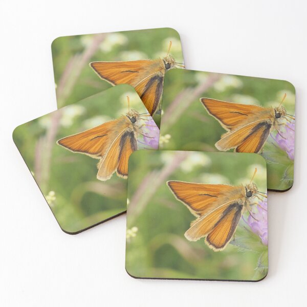 Item preview, Skipper butterfly on scabious designed and sold by MinJasmin68.