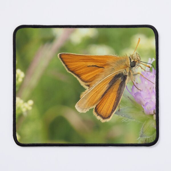 Item preview, Skipper butterfly on scabious designed and sold by MinJasmin68.