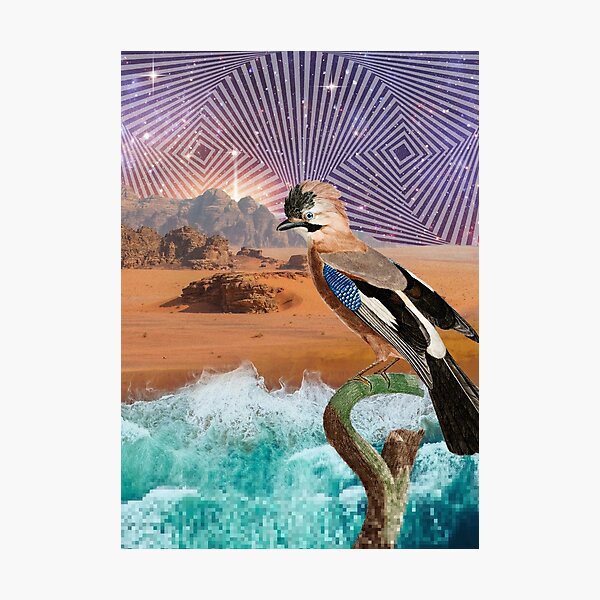 Item preview, Jay Bird of Paradise  designed and sold by YOWABUNGA DESIGNS & CREATIONS.