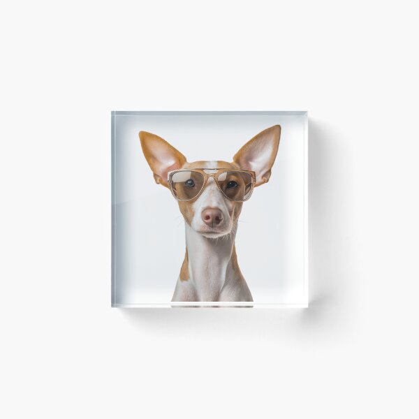 Item preview, Funny cool Ibizan Hound Dog wearing sunglasses designed and sold by LazyOwlStore.