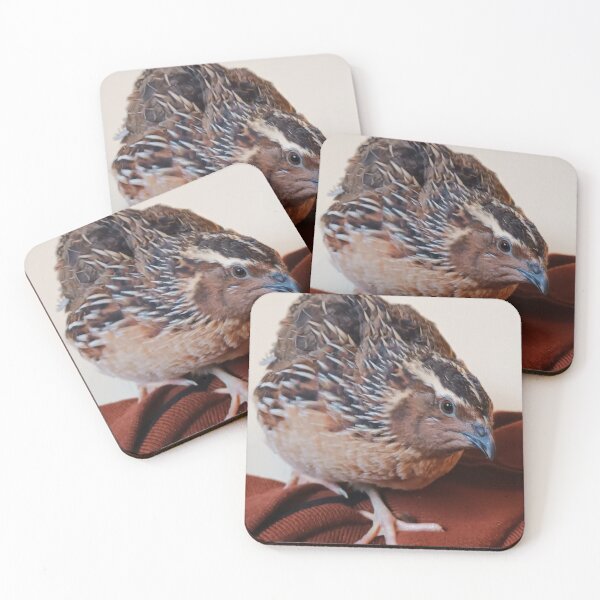 Item preview, Photogenic Lizio. designed and sold by di-Vera-Rosati.