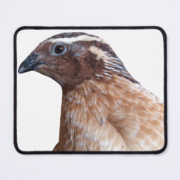 Item preview, Lizio's close-up designed and sold by di-Vera-Rosati.