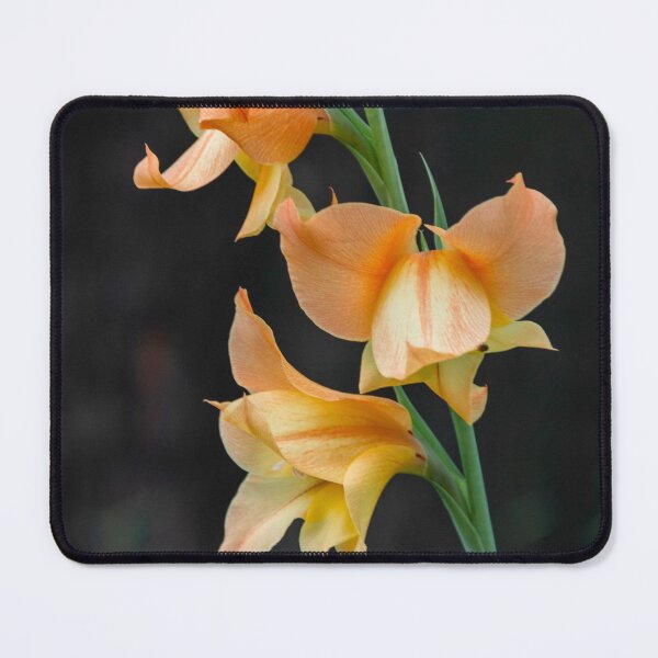 Item preview, field flower. designed and sold by Nino rocha fotografia.