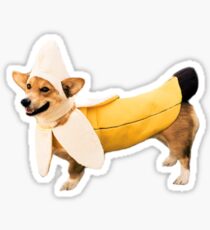 Pegatina Banana Corgi