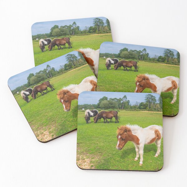 Item preview, Brown and White Pony New Forest National Park England Uk designed and sold by acceleratorhams.