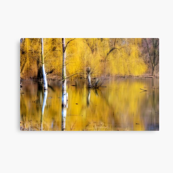 Metal Print