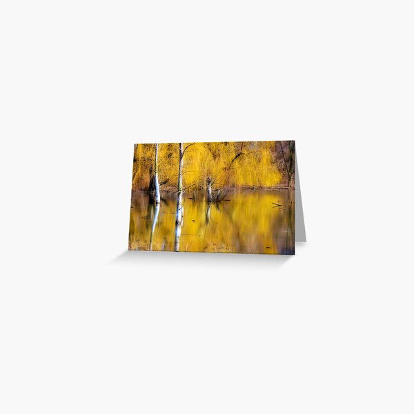 Greeting Card