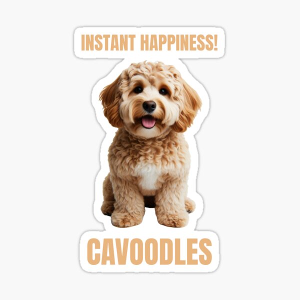 Item preview, Cavoodles: Instant Happiness! designed and sold by Now's Good Designs.
