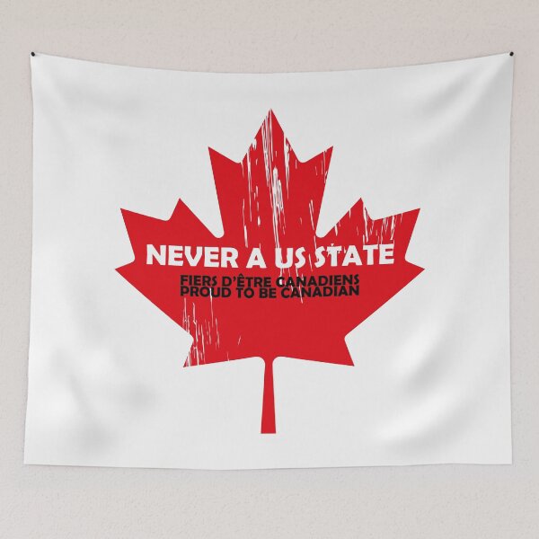 Item preview, NEVER A US STATE designed and sold by hichamms.
