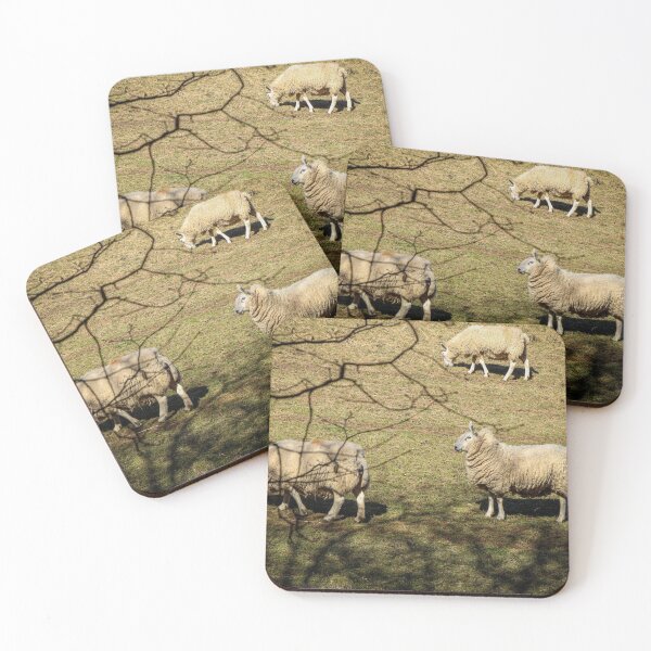 Item preview, Proud sheep basking in the sunshine designed and sold by Martin Fenton.