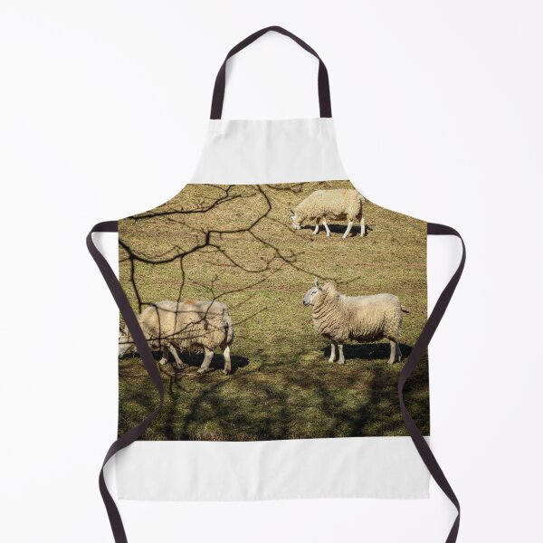 Item preview, Proud sheep basking in the sunshine designed and sold by Martin Fenton.