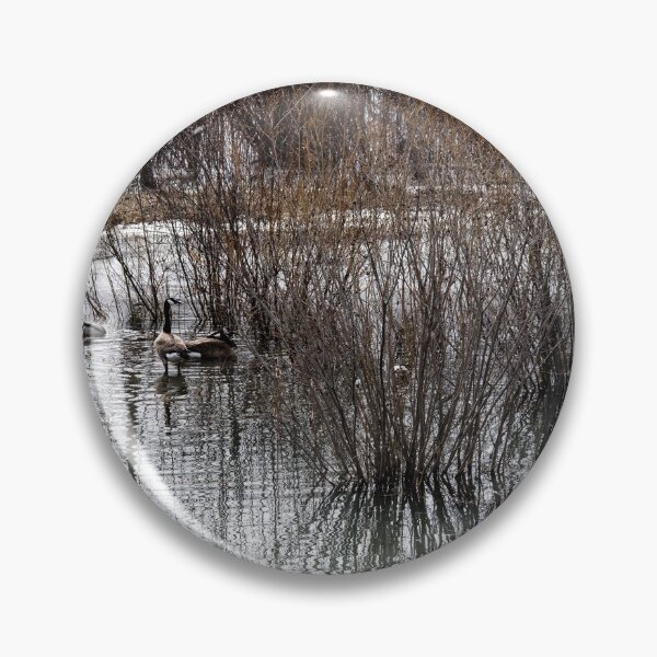Item preview, Canada geese in the pond nesting designed and sold by CanadianWild418.