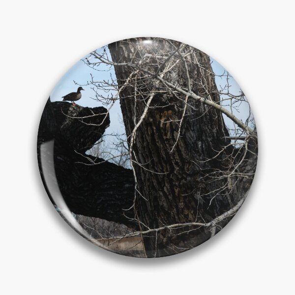 Item preview, Mallard duck in a tree designed and sold by CanadianWild418.