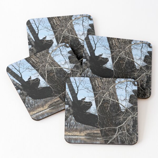 Item preview, Mallard duck in a tree designed and sold by CanadianWild418.