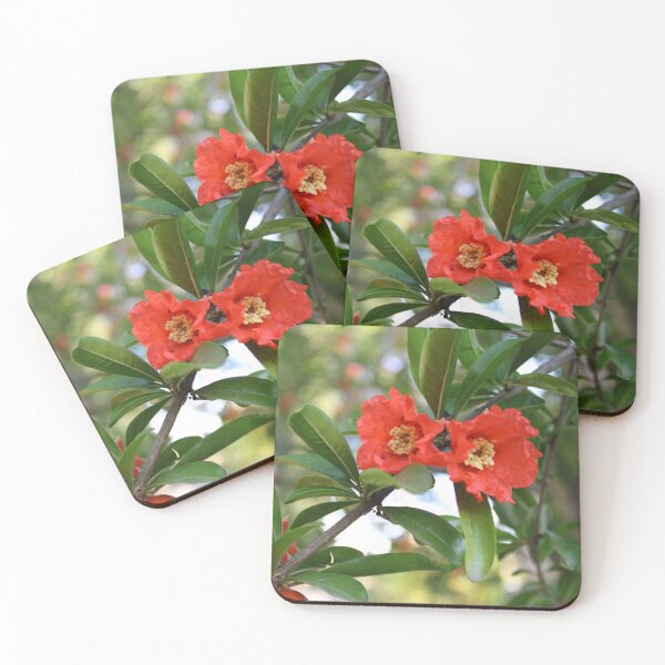 Item preview, Pomegranate Tree in Bloom designed and sold by Bud, Blossom & Bloom.