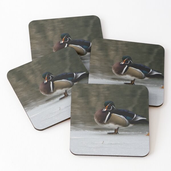 Item preview, Wood duck on the ice designed and sold by CanadianWild418.
